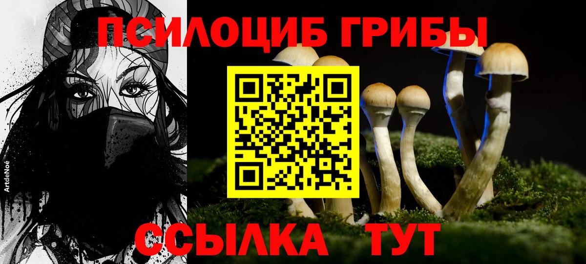 Канаш  Галлюциногенные грибы мухоморы  Вход с VPN  Псилоцибиновые грибы MAGIC MUSHROOMS 